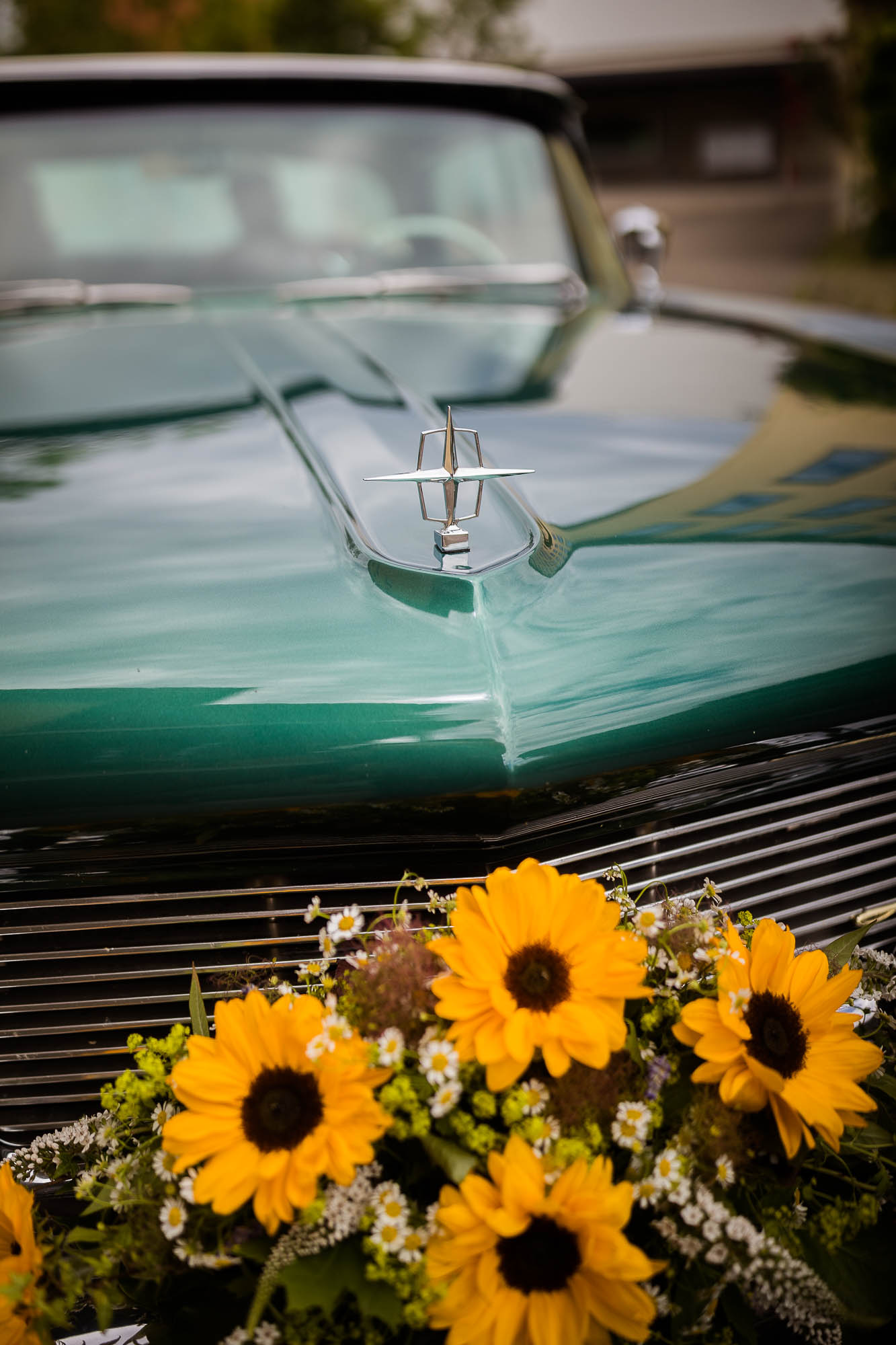 Export x3 1DX29757 Hochzeit 2020 Nicole & Daniel